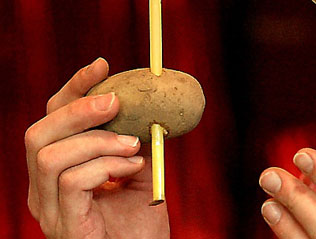 Guests are challenged to pierce a potato with a plastic drinking straw. But how? The trick is to give the straw stability through high momentum; in other words move it quickly.